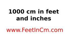 1000-cm-in-feet-and-inches