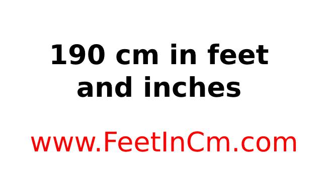 190 cm in feet