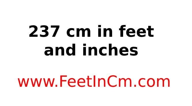 237cm in inches
