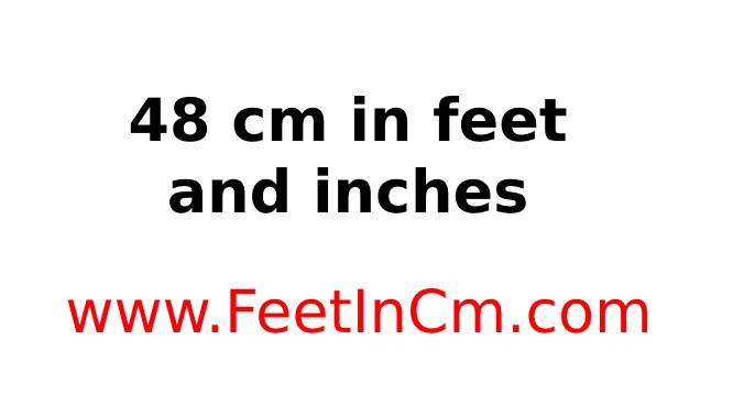48 cm to feet