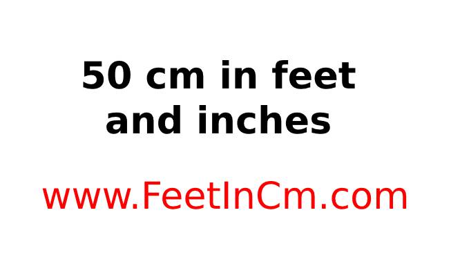 50 cm to inches to feet