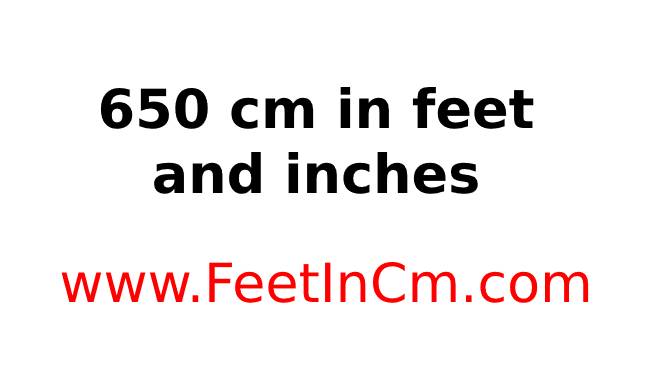 650 cm to inches